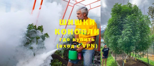 Альфа ПВП Вязьма