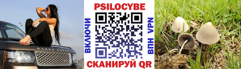 Галлюциногенные грибы GOLDEN TEACHER  Купить  Верхний Уфалей 